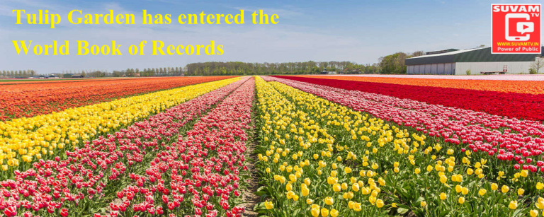 Tulip Garden has entered the World Book of Records