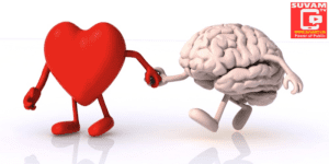 There is a deep connection between the brain and the heart.