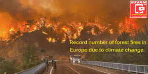Record number of forest fires in Europe due to climate change.